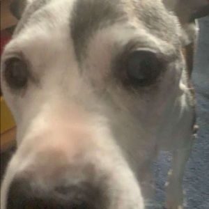 Meet your Posher, Colin